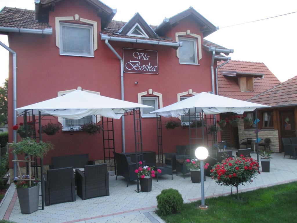 Vila Boska Palic Palić Exterior foto