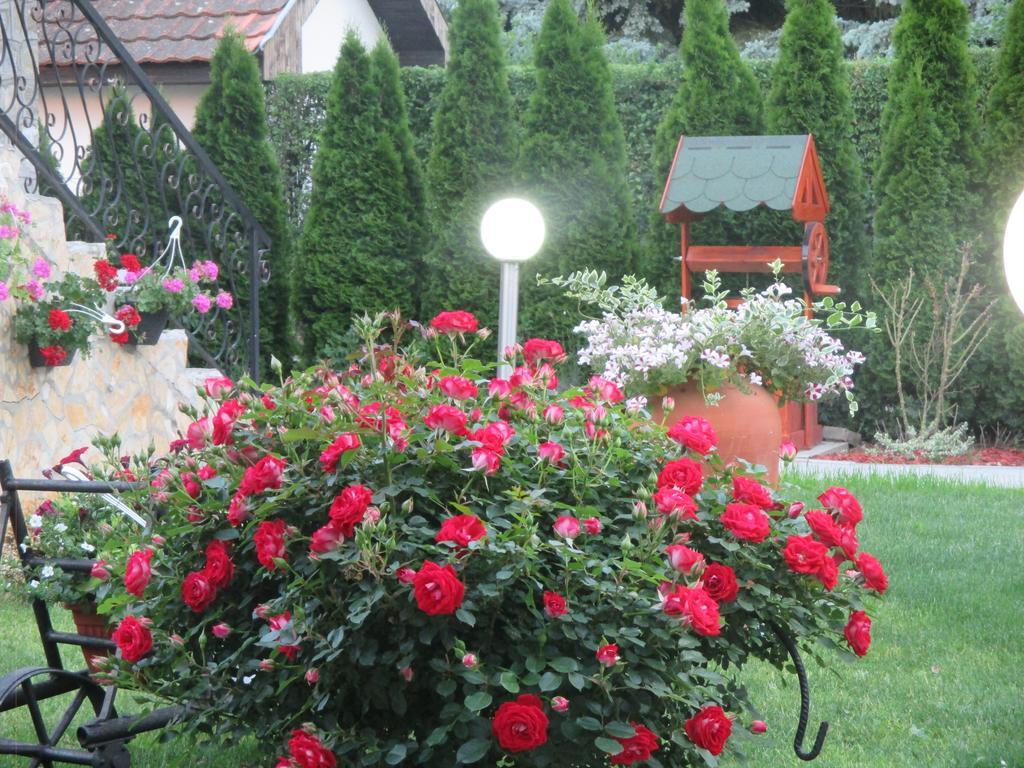 Vila Boska Palic Palić Exterior foto