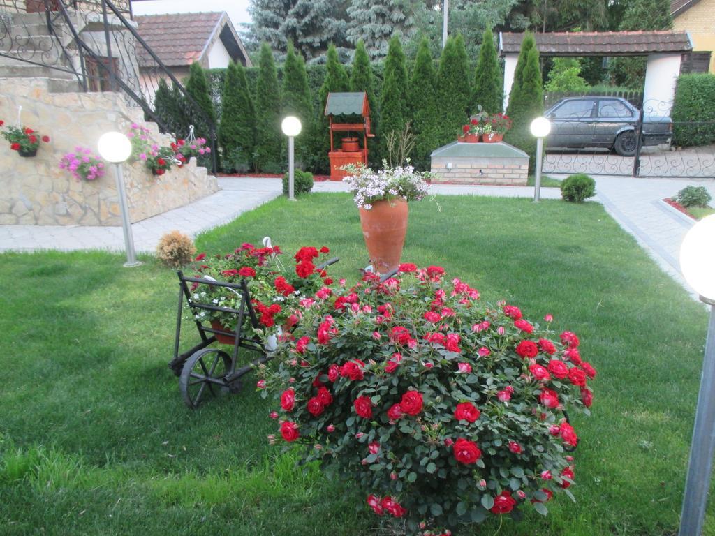 Vila Boska Palic Palić Exterior foto